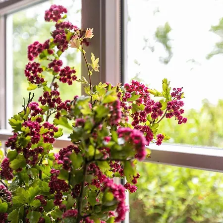 Landleben Und Ferienhaus *